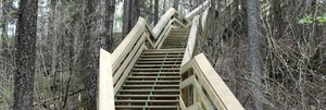 Boardwalks